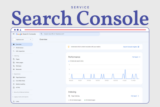 Google search console setup Service